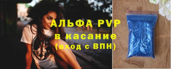 СК Куйбышев