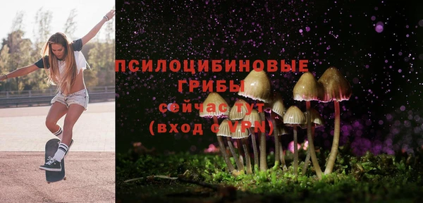 дживик Кукмор